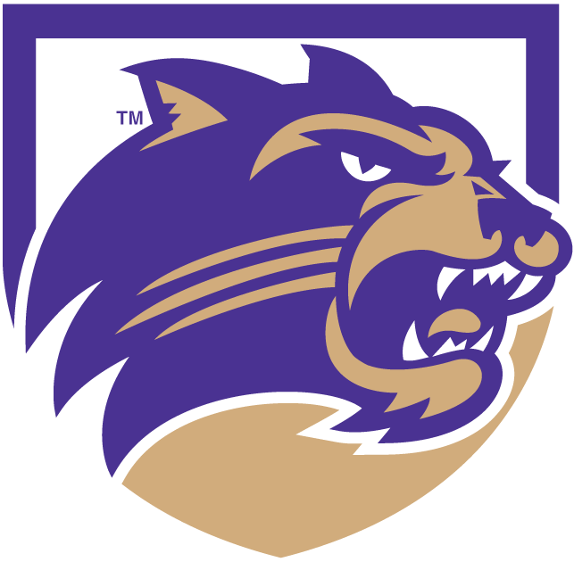 Western Carolina Catamounts 2008-Pres Alternate Logo v3 diy iron on heat transfer